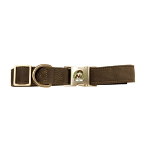 Have a jolly Christmas - Personalized dog collar
